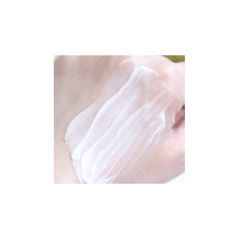 AHC Renew Age Total Reset Cream 50ml / AHC 리뉴에이지