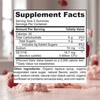ImmunoPower Organic Probiotics Gummies | 5 Billion CFU Probiotics for