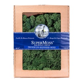 SuperMoss Reindeer Preserved Long Lasting Decorative Moss for Floral Décor Potted Plants and Indoor Planters, Forest