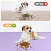 Bartuke Dog Food Mat, Extra Large 40" x 28" Silicone