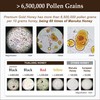 Premium Tualang Gold Honey 1.8oz (TA 10.5+, Pollen Count 6.5M+,