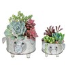 ShabbyDecor Galvanized Metal Pig Succulent Planter Farmhouse Pig Shaped Bowl