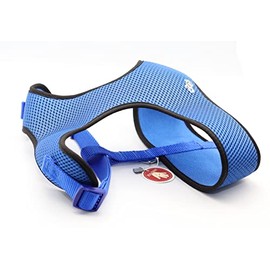 RIO Airy Webbing Puppy Harness, Breathable Mesh Fabric, No Pull Dog Harness, Adjustable, Washable (Blue, Width 1,5cm, Length 25-35cm)