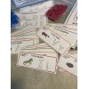 Alphabet Recognition Learning Set - PreK - K-5 w/ Lakeshore