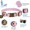 Dog Collar and Lead Set Combo: Adjustable Durable Pet Collars