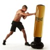 Everlast Power Tower Punching Bag Gold Edition Ottogi Punching / 파워 타워 펀칭백 골드에디션 오뚜기 펀칭