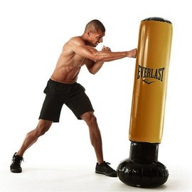 Everlast Power Tower Punching Bag Gold Edition Ottogi Punching / 파워 타워 펀칭백 골드에디션 오뚜기 펀칭