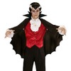 Vampire Cape withStand Up Collar Black Accessory for Superhero Super