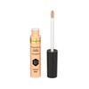 Max Factor Facefinity All Day Shade 10 Concealer 7.8ml
