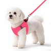 Pet Harness No Pull for Small Dogs and Cats,Breathable Mesh,0.55FIT,S