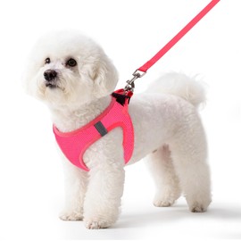 Pet Harness No Pull for Small Dogs and Cats,Breathable Mesh,0.55FIT,S