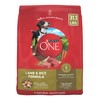 Purina ONE Dry Dog Food Lamb and Rice Formula -