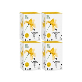 Herby Fit Tea Elma Sirkeli Ananaslı Diyete Destek Form Bitki Çayı, 4'lü Paket