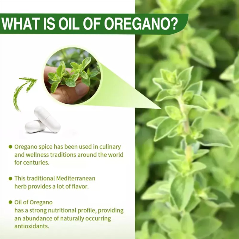 4000mg Pure Wild Oregano Oil Capsules High Strength Carvacrol 100%
