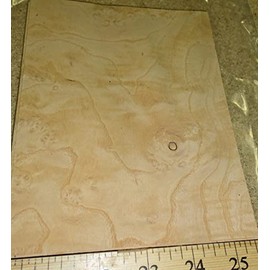 White Ash Burl Wood Veneer 5" x 7" raw no Backing 1/42" Thickness Flexible roll