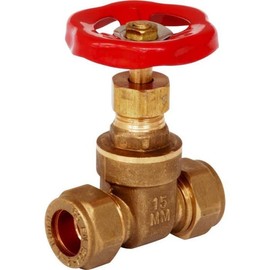 22mm Economy Gate Valve