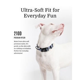 2025 New Edition, Fei and Eve Dog Collars, Heavy Duty Adjustable Nylon Dog Collars with Quick-Release Buckle, Stylish & Comfortable for Daily Use, Blue, L