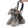 Cat Vest Harnesses Leash Adjustable Breathable Stylish Multifunctional Pet Walking
