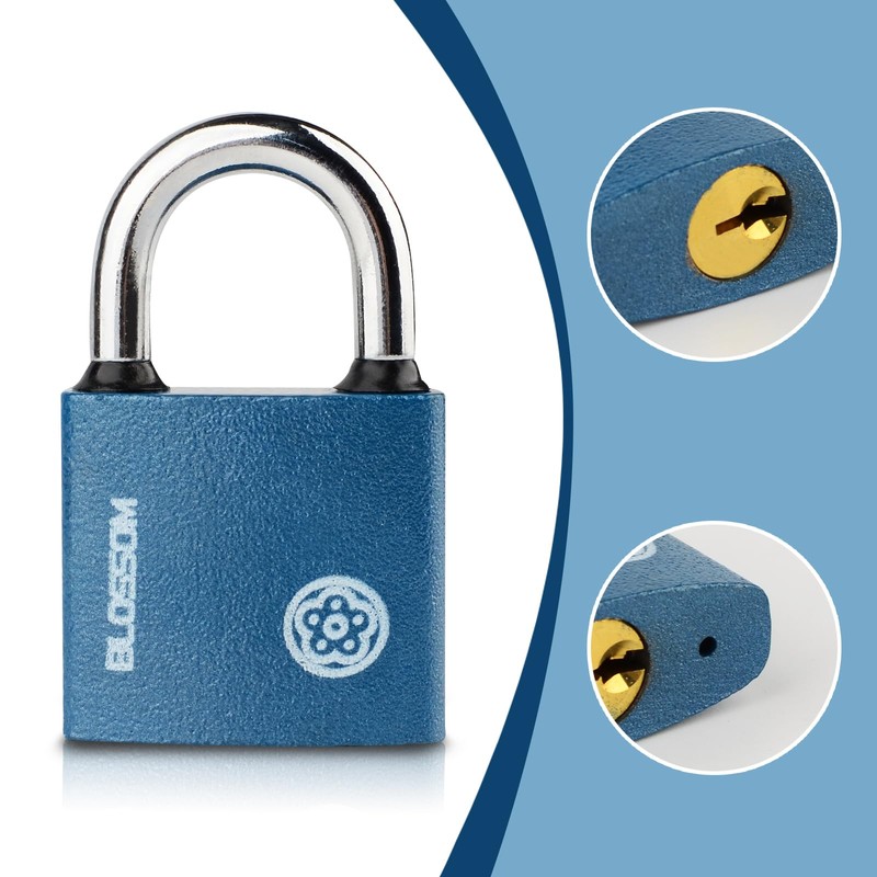 2 Pack Iron Padlock with Keys Heavy Duty Padlock High