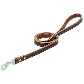 Terrain D.O.G. Bridle Leather Dog Leash