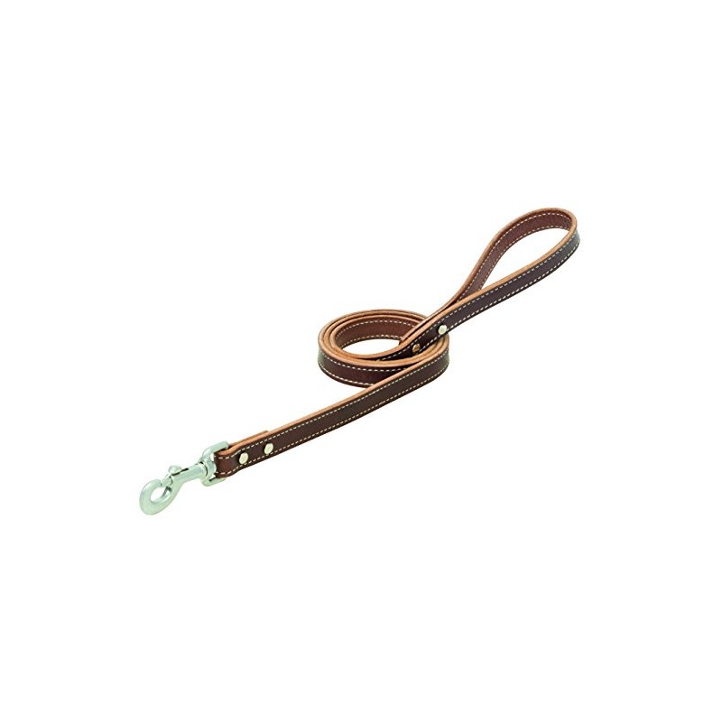 Terrain D.O.G. Bridle Leather Dog Leash