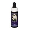 FES Flower Essences Range Of Light Quintessentials 7.5ml G to