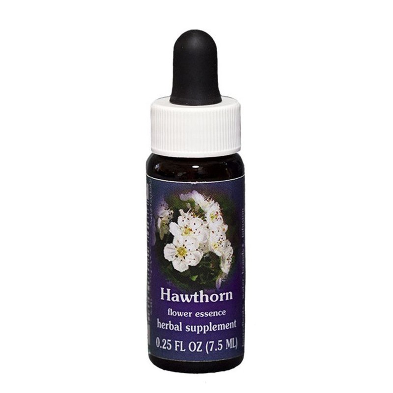 FES Flower Essences Range Of Light Quintessentials 7.5ml G to