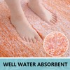 Arotive Microfiber Bathroom Rugs, Shaggy Soft and Absorbent Bath Rug,