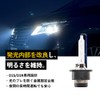 HIDYA 55W D2S Genuine Replacement HID Bulb 6000K (D2S, 6000k)