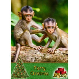 Monkey Christmas Card 'Merry Christmas' - Special Xmas Card for Him Her Kids Male Female