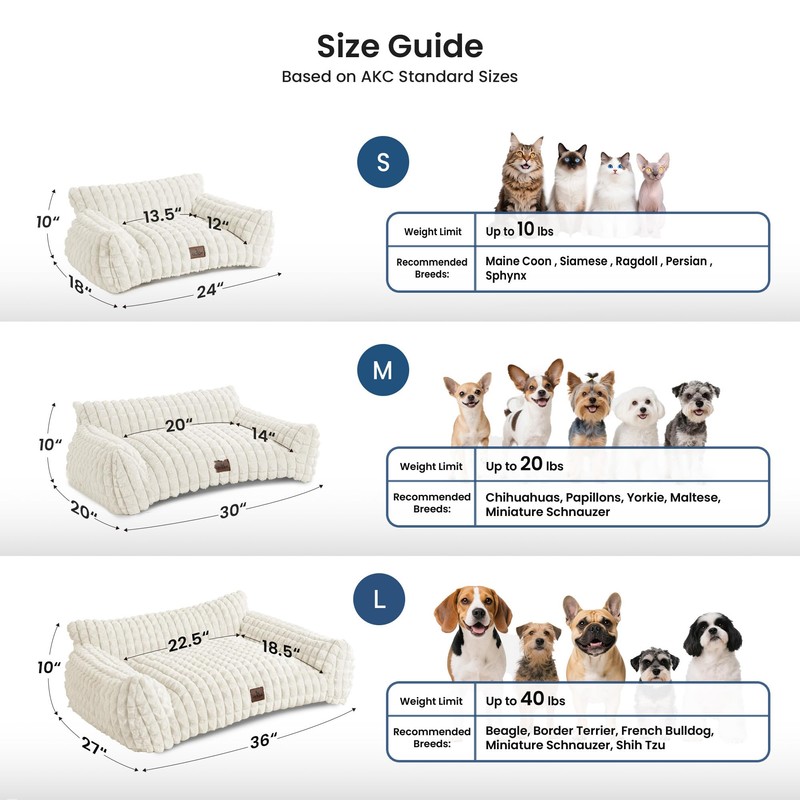 blunique Cat Beds for Indoor Cats - Cute Cat Couch