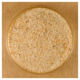 Garlic Pepper - 5 oz Stovetop Shaker Jar