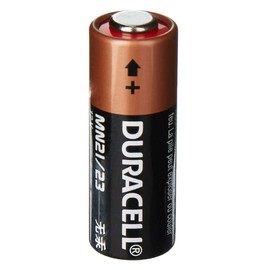 Procter & Gamble 66444 12V #21 Battery