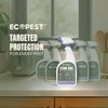 Stink Bug Spray, 22 oz. | Natural, Plant-Based Stink Bug