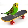 Bird Parrot Intelligence Toys Mini Training Skateboard for Budgies Parakeet