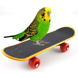 Bird Parrot Intelligence Toys Mini Training Skateboard for Budgies Parakeet Cockatiel Lovebird Conure Small and Medium Bird Funny Cute Perch Toy