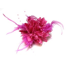 Flower Feather Bead Corsage Hair Clips Fascinator Hairband and Pin (Fuchsia Hot Pink)