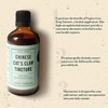 Napiers Gou Teng Tincture (Ramulus uncariae/Uncaria rhynchophylla) - Herbal Supplement