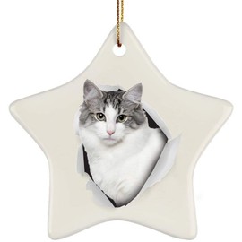 Funny Norwegian Forest Cat Silver Coming Out of Cracked Wall Gifts 2024 Christmas Tree Ornaments Ceramic Star