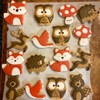 Cookie Cutters Forest Animals Set of 10 Squirrel, Mushroom, Bird,
