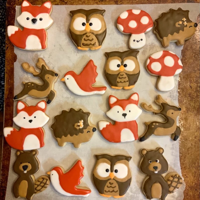 Cookie Cutters Forest Animals Set of 10 Squirrel, Mushroom, Bird,