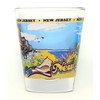 New Jersey State Wraparound Shot Glass