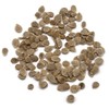 Organic Tomato Seeds (Roma) - Approx 75 Seeds - USDA