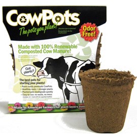 CowPots TV208926 3" Round Cow Pot Planter (12 Pack), 175mL