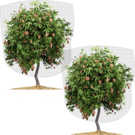 2 Pieces 6.5 x 8.2 Feet Large Fruit Tree Netting Insect Bird Netting for Fruit Trees with Drawstring Mesh Garden Plant Barrier Protective Cover for Plant Fruit Trees Flower from Insect Birds