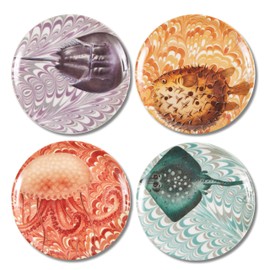 Palm Beach Coasters S/4 Assorted