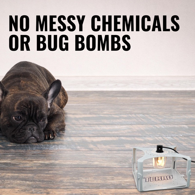 Terro T230 Indoor Electric Flea Trap and Killer - Refillable