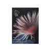 Polar B.A 3D Oasis Eye Color 01 Gerbera Bouquet [Eye