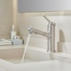 Aktines Pull Out Bathroom Faucet 1 Hole, Brushed Stainless