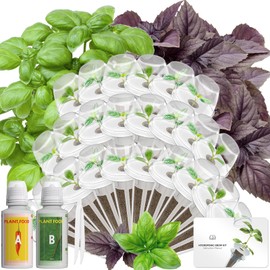 Hydroponics Seed Pod with Genovese Basil & Purple Basil, 24 Pods Complete Kit with Sponge, Basket, Dome, Label, Compatible with AeroGarden, Ahopegarden, GARDENCUBE, iDoo & MUFGA Indoor Smart Gardens